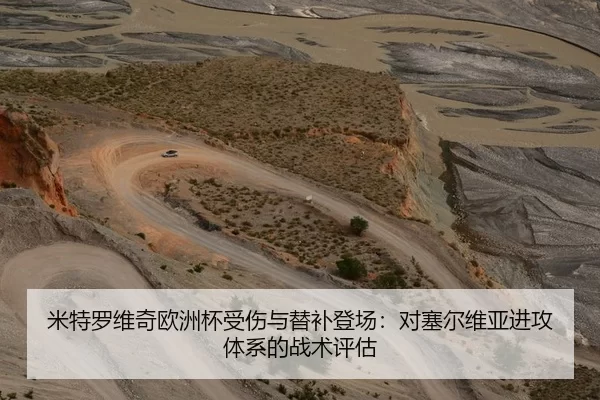 米特罗维奇欧洲杯受伤与替补登场：对塞尔维亚进攻体系的战术评估